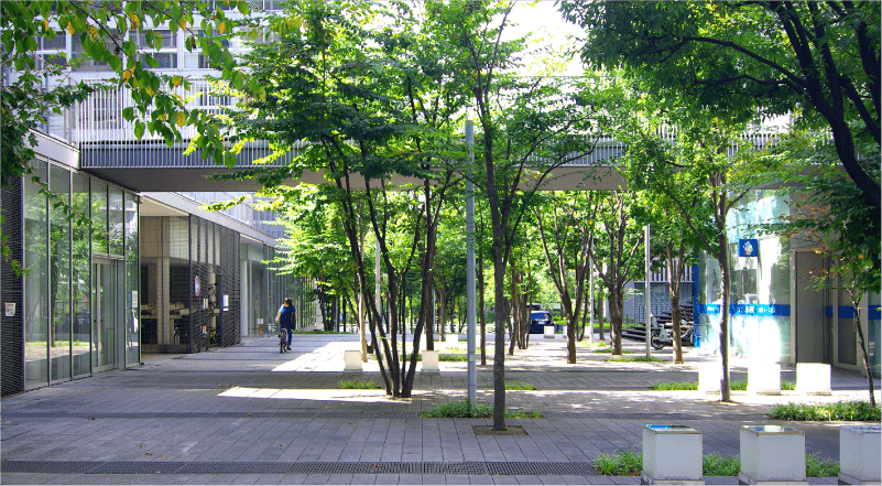 間取り図と家の模型