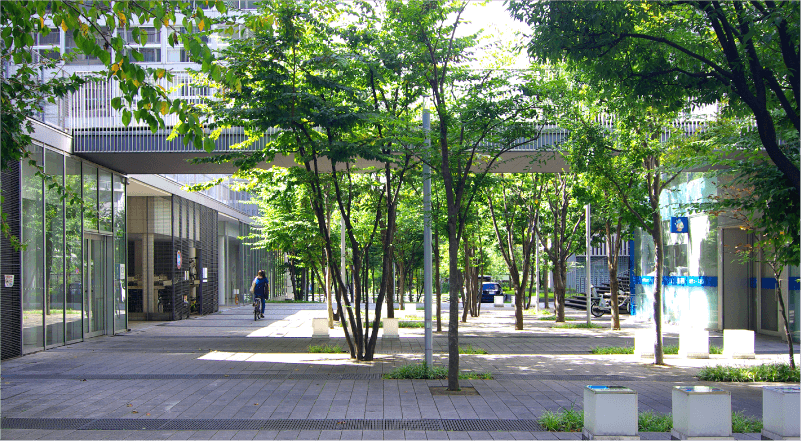 敷地内緑道